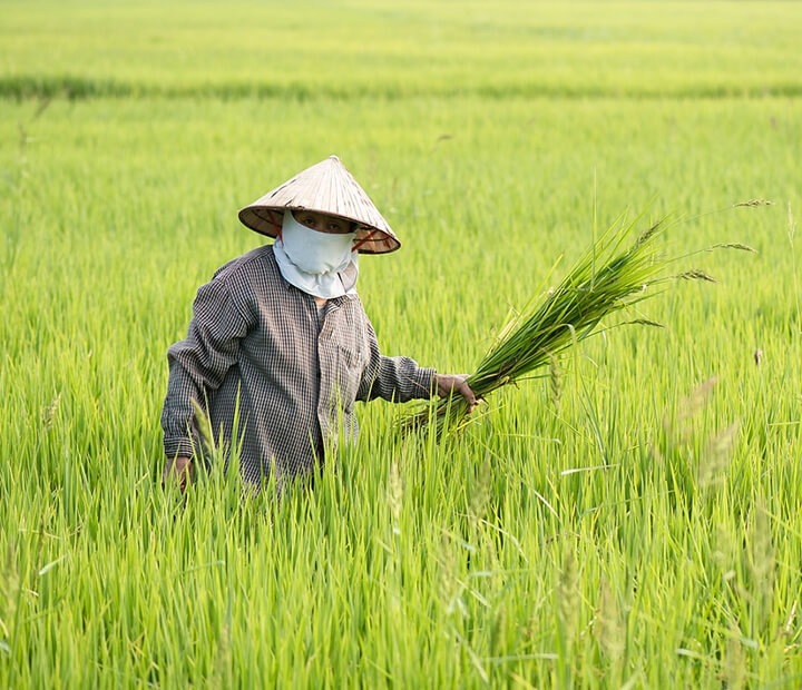 Số liệu